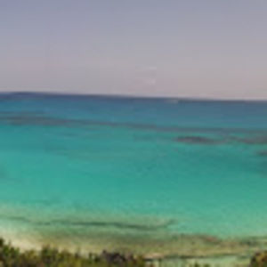 Meet your Posher, Naomi